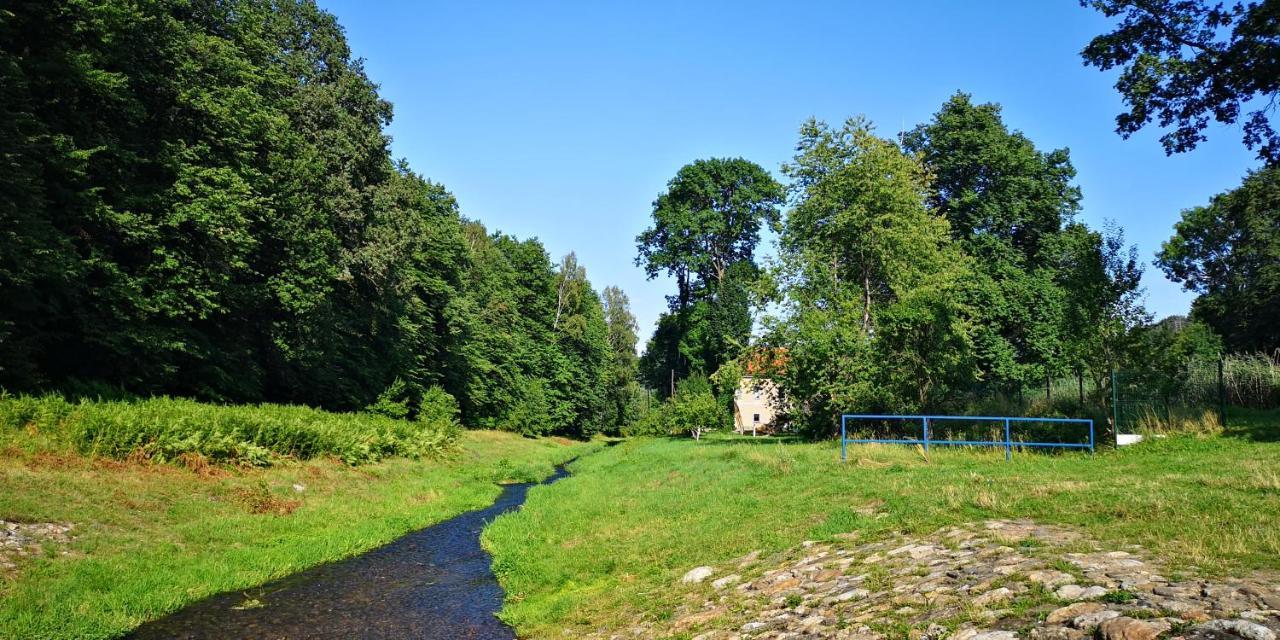 Osrodek Natura Pokrzywna Luaran gambar